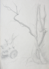 Martin, William A. (1899-1988): Study of tree trunks and stump, pencil, 15.1 x 22.8 cms. Presented by Moss, Ruth. Bequest.
