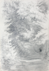 Martin, William A. (1899-1988): Sketch of dense foliage and stream, pencil, 15 x 22.9 cms. Presented by Moss, Ruth. Bequest.