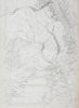 Martin, William A. (1899-1988): Sketch of woodland scene with path, pencil, 15 x 22.6 cms. Presented by Moss, Ruth. Bequest.