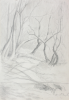 Martin, William A. (1899-1988): Trees, pencil, 15 x 23 cms. Presented by Moss, Ruth. Bequest.