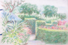 Martin, William A. (1899-1988): A garden scene with hedge, pastels, 15 x 22.8 cms. Presented by Moss, Ruth. Bequest.