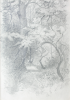 Martin, William A. (1899-1988): Sketch of a woodland path, pencil, 15 x 22.9 cms. Presented by Moss, Ruth. Bequest.