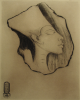 Williams, Marjorie (nee Murray 1880-1961): Egyptian Head Aknaton Amenothis IV (in the Louvre), signed and dated 1924, etching, 25.5 x 18 cms. Presented by Mariella Fischer-William MD.