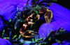 Webster, Mark (born 1955): Porcelain crab in anemone, cibachrome photograph, 30.7 x 45.7 cms. Presented by Webster, Mark.