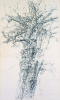 Newton, Kenneth (1933-1984): Acacia Tree, Hopebourne 1975, signed, pencil on paper, 84 x 49.5 cms. The Richard Harris Gift.