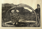 Williams, Marjorie (nee Murray 1880-1961): Proof for Fritilary at Doucies, Java, relief print, 13 x 19 cms. Presented by Mariella Fischer Williams MD in 2003.