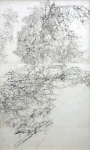 Newton, Kenneth (1933-1984): Work drawing for Nailbourne landscape, pencil on paper, 85 x 50 cms.