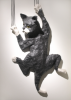 Cox, Philip (born 1945): Slipping cat, papier mache, 66 cms.