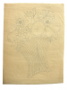 Williams, Marjorie (nee Murray 1880-1961): Flower design, ink on tracing paper, 31 x 23.5 cms. Presented by Dr Mariella Fischer-Williams.