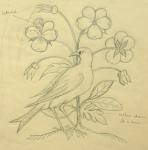 Williams, Marjorie (nee Murray 1880-1961): Bird with flower design, pencil on paper, 26 x 24 cms. Presented by Dr Mariella Fischer-Williams.