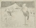 Williams, Marjorie (nee Murray 1880-1961): Storks - farm scenes on reverse, pencil on paper, 21 x 18 cms. Presented by Dr Mariella Fischer-Williams.