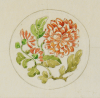 Williams, Marjorie (nee Murray 1880-1961): Chrysanthium design adapted from a Chinese bowl, watercolour and ink on paper, 21.7 x 14.6 cms. Presented by Dr Mariella Fischer-Williams.