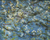 Strang, Michael J. (born 1942): Cherry blossom with bees, signed and dated 1991, oil on hardboard, 41 x 51 cms. Purchased with funding from the Heritage Lottery Fund as part of the Darwin 200 celebrations.