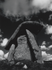 Mills, Tony: Trethevy Quoit, signed and dated 2010, photograph, 45.5 x 34.8 cms.
