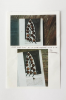 Lanyon, Andrew (born 1947): Photo of iron: Man Ray's Gift at 10 in the morning and 4 in the afternoon, photograph and paper, 25 x 17.5 cms. New Expressions 2 supported by MLA Renaissance South West and the National Lottery through Grants for the Arts. Commission.