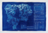 Chaney, Paul : Lizard Exit Plan Blueprint #2 Product, cyanotype blueprint, 69.5 x 105 cms.