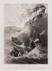 Hemy, Thomas Madawaska Napier (1852-1937): And every soul was saved, mid Atlantic. 6th April 1889, engraving, 69.6 x 50.8 cms. Presented by Powell, Barbara.