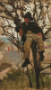 Tuke, Henry Scott, RA RWS (1858-1929): Boy in a Tree (Study for 'Un Jour de Paresse', oil on panel (broken), 21.6 x 12.6 cms. RCPS Tuke Collection. Loan.