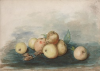 Tuke, Henry Scott, RA RWS (1858-1929): Fruit from Nature, November 1877, signed and dated 1877, inscribed Fruit from Nature subject for November 1877, watercolour, 17.8 x 25.5 cms. RCPS Tuke Collection. Loan.