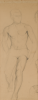 Berlin, Sven (1911-1999): Male nude, pencil on paper, 51 x 20 cms. Presented by Thomas, Robin. Bequest.