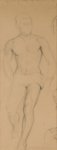 Berlin, Sven (1911-1999): Male nude, pencil on paper, 51 x 20 cms. Presented by Thomas, Robin. Bequest.