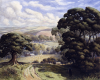Martin, William A. (1899-1988): Kennall Vale, Ponsanooth, signed, watercolour and pencil, 50 x 62 cms. Presented by Moss, Ruth. Bequest.