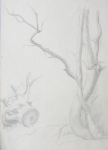 Martin, William A. (1899-1988): Study of tree trunks and stump, pencil, 15.1 x 22.8 cms. Presented by Moss, Ruth. Bequest.