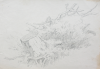 Martin, William A. (1899-1988): Sketch of severed tree trunk, pencil, 14.9 x 22.8 cms. Presented by Moss, Ruth. Bequest.