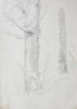 Martin, William A. (1899-1988): Two tree trunks, pencil, 15 x 22.8 cms. Presented by Moss, Ruth. Bequest.