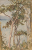 Tuke, Henry Scott, RA RWS (1858-1929): Trees at Stack, signed, watercolour, 21 x 13.5 cms. RCPS Tuke Collection. Loan.