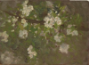 Tuke, Henry Scott, RA RWS (1858-1929): White Blossom, oil on wood panel, 33 x 24 cms. RCPS Tuke Collection. Loan.